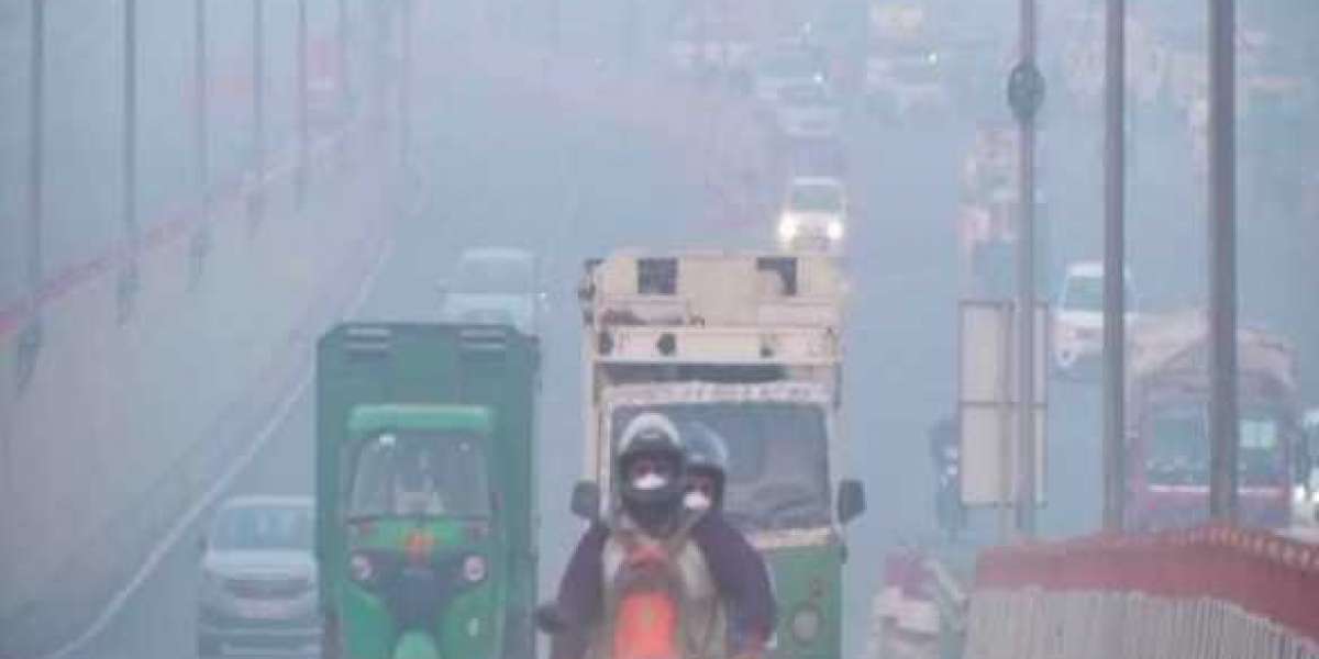 Delhi govt plans long-term action plan to curb air pollution