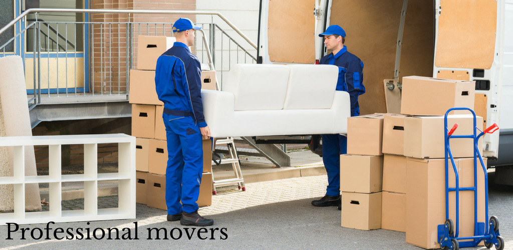 5 Essential Qualities That Professional Mover in Toronto Possess – Telegraph
