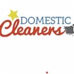 Domestic Cleaners London Profile Picture
