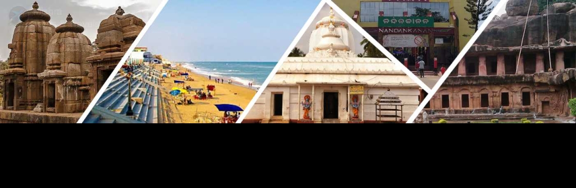 Odisha Travels Cover Image
