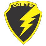 Ogata Motors India Private Limited Profile Picture