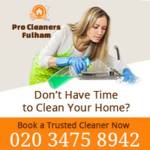 Pro Cleaners Fulham Profile Picture