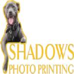 Shadows Photo Printing Profile Picture