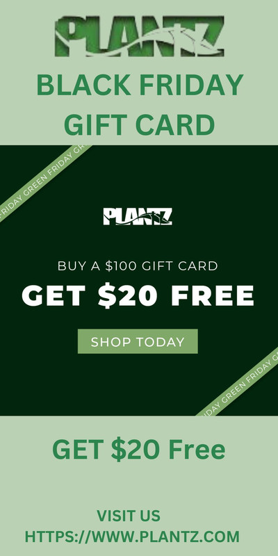 Black Friday Gift Card | Plantz