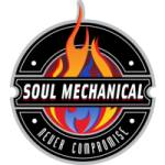 Soul Mechanical Profile Picture