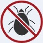 True Pest Control Profile Picture