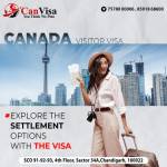 Can Visa Consultant Profile Picture