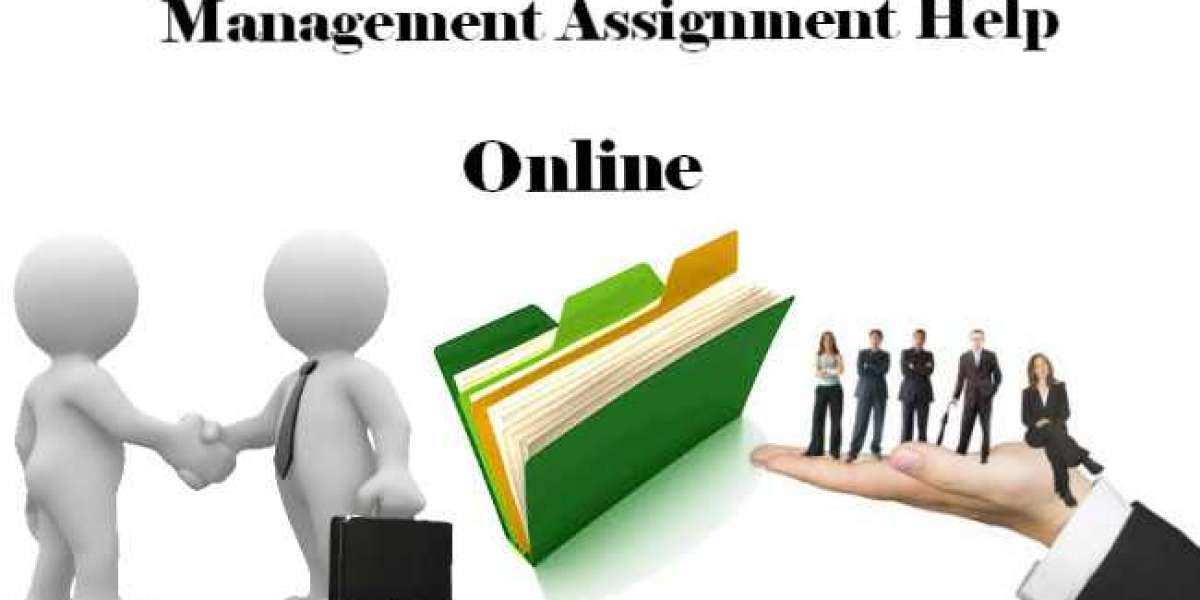 Take Benefits of the best management assignment help online services