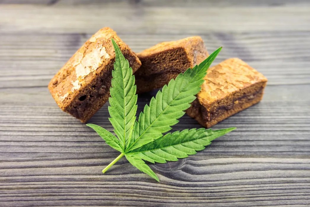 Reefer Posts - The Weed Brownie Effect: What You Need to Know