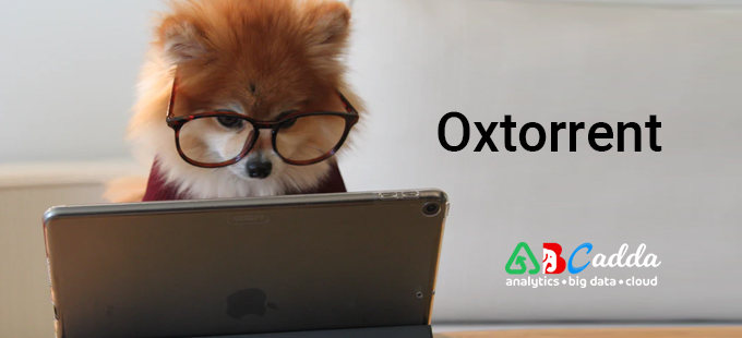 Oxtorrent Et Torrent9 Nouvelle Adresse Buzz | OX Torrent ❤️