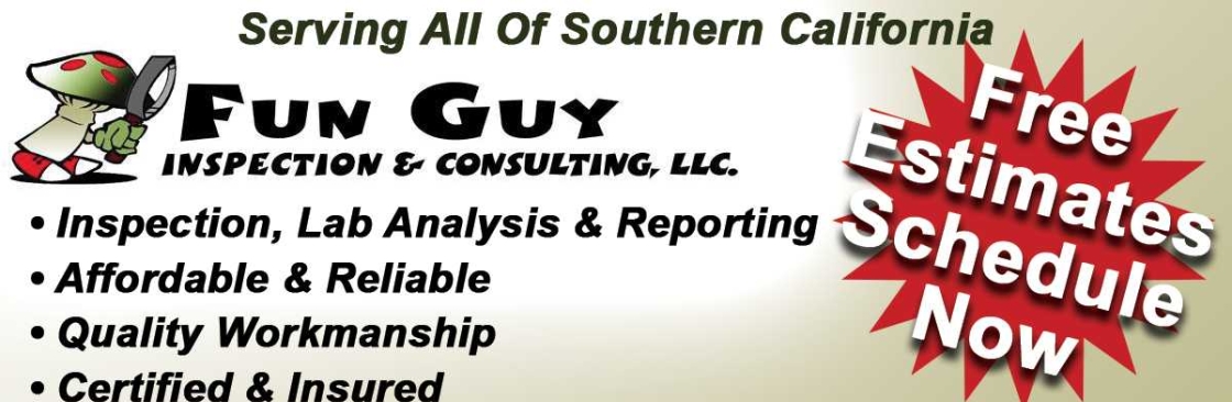Fun Guy Inspection & & Consulting LLC Cover Image