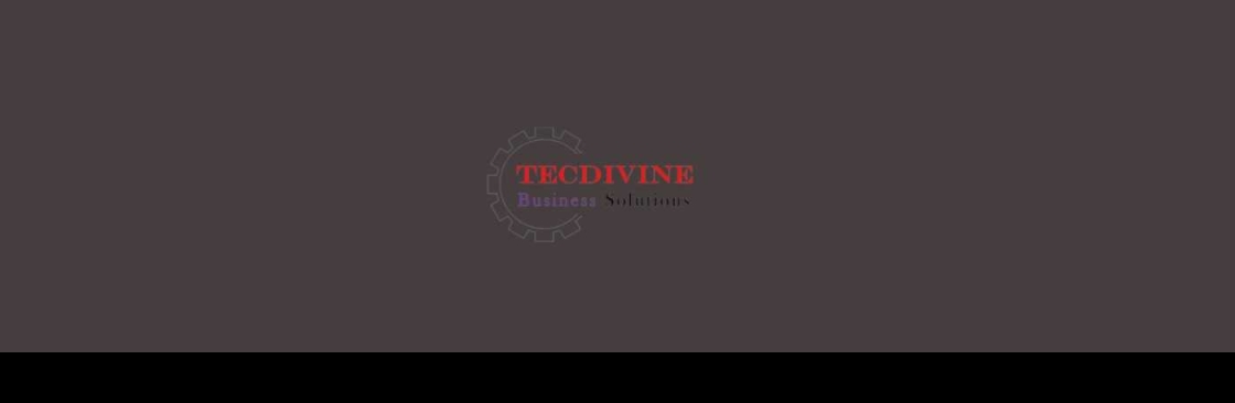 TecDivine Business solutions LLC Cover Image