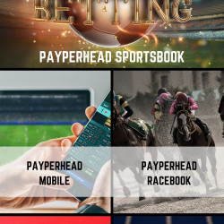 Well-Known Pay Per Head Betting Software | Visual.ly