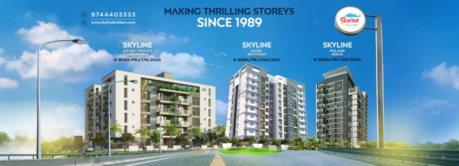 Skyline Builders Cover Image
