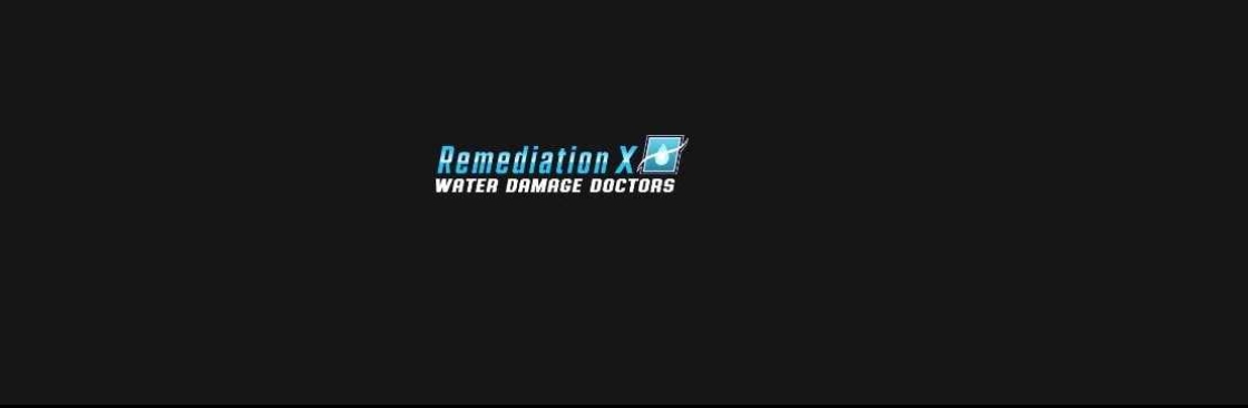 REMEDIATIONX X Cover Image