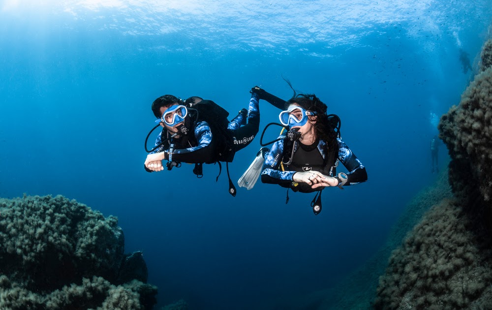 A Beginner's Guide to Scuba Diving