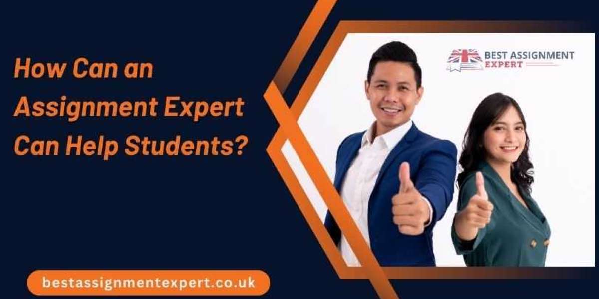 How can an assignment expert can help students?