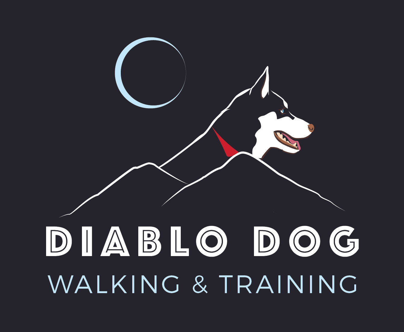 Dog Walking and Pet Services | Diablo Dog Walking
