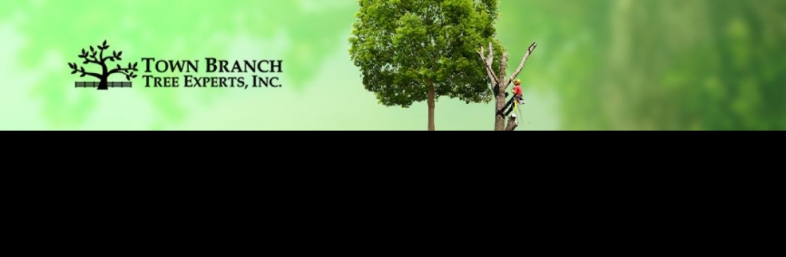 Town Branch Tree Experts Cover Image