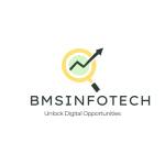 BMS Infotech Profile Picture