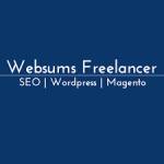 Websums SEO Freelancer Wordpress Developer Profile Picture