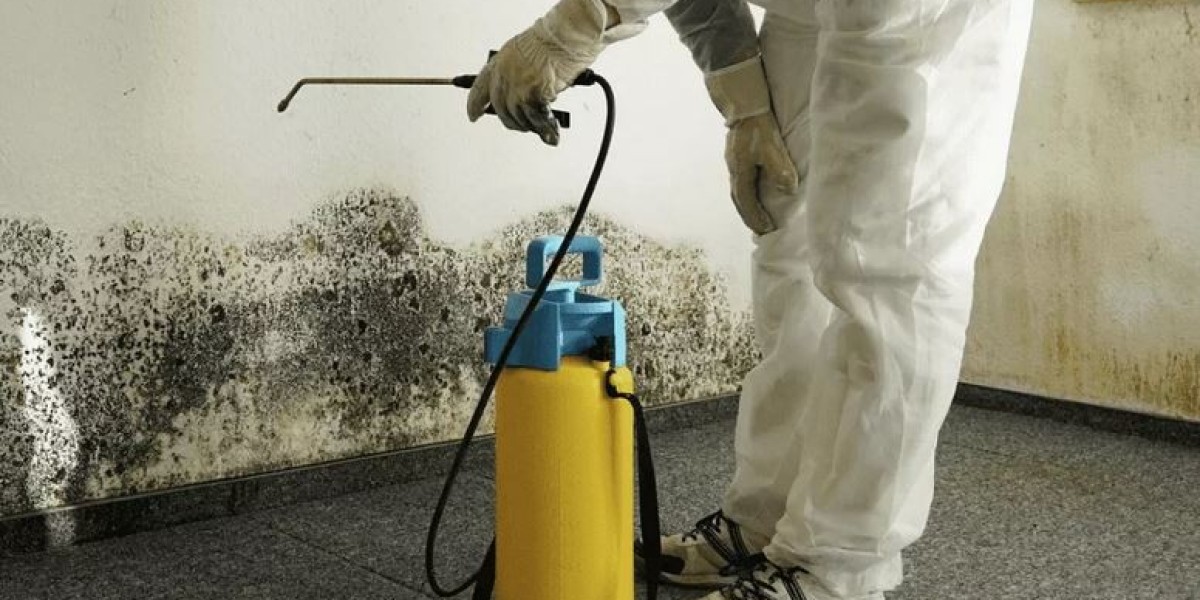 Mold Remediation: Restoring Your Home's Health and Safety: