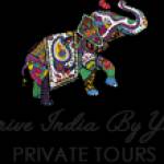 Drive India By Yogi Profile Picture