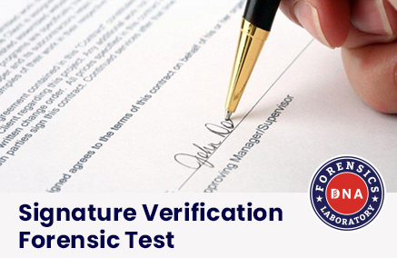 Signature Verification: Ensuring the Authenticity of Signatures!