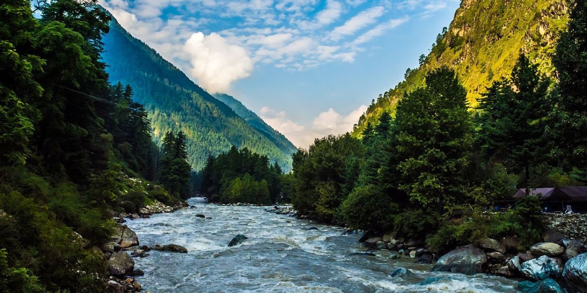 NATURE’S PARADISE: EMBRACING TRANQUILLITY IN KASOL’S ENCHANTING WILDERNESS