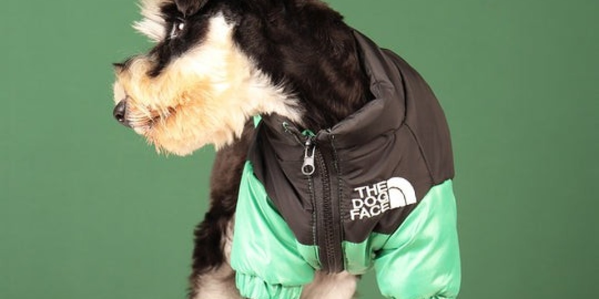 From Function to Fashion: Trendy Pet Jackets for Every Occasion