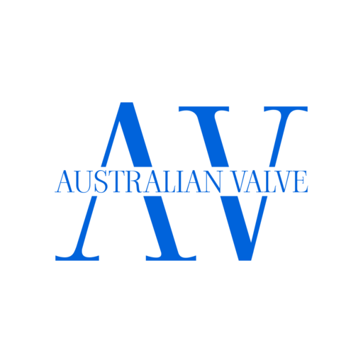 Dual Plate Wafer Check Valve Supplier in Australia