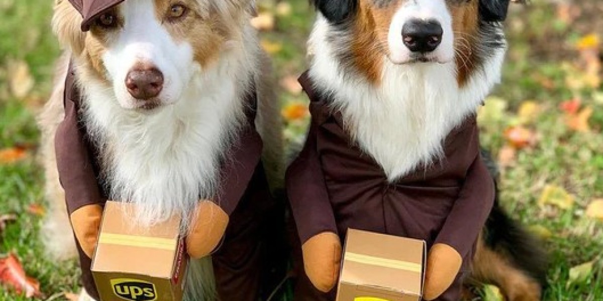 Puppy Chic: Finding the Perfect Dog Costume for Your Breed
