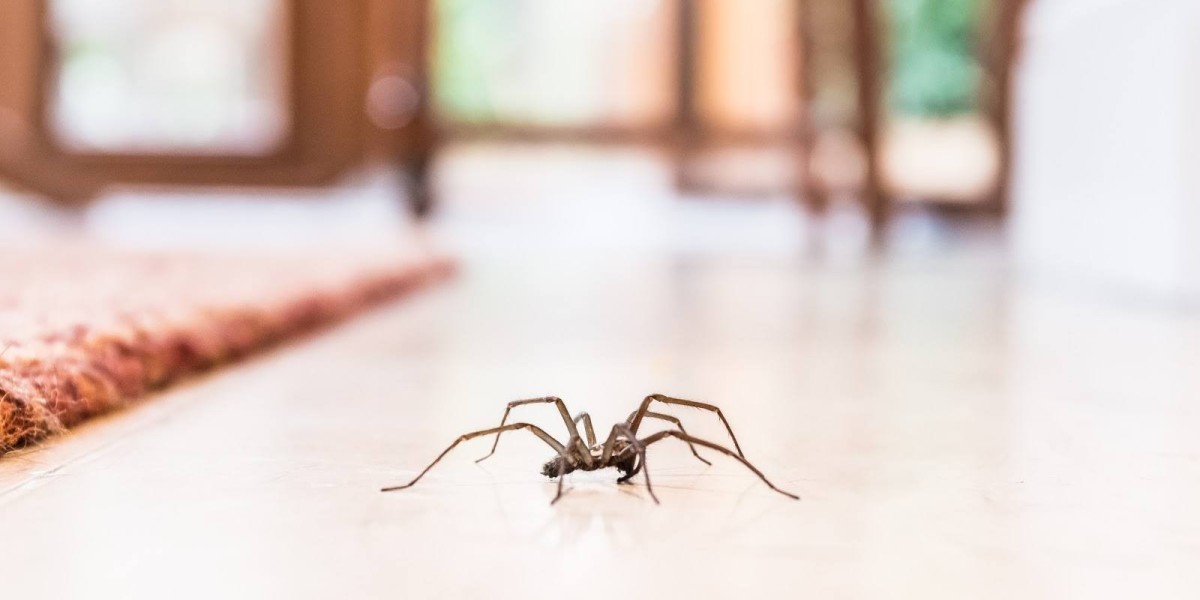 Spider extermination service in ohio