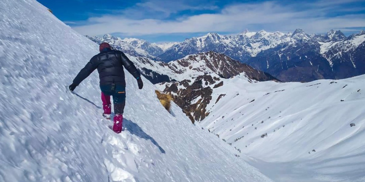 Kuari Pass Trek: A Scenic Sojourn in the Garhwal Himalayas