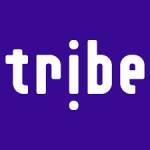 Tribe Schoolies Profile Picture