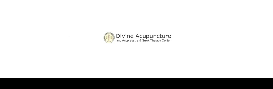 Divine Acupuncture Cover Image