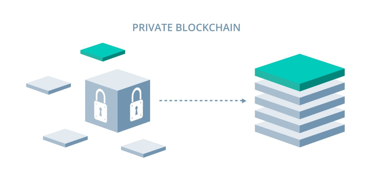 Unlocking the Potential of Private Blockchains for Business Confidentiality