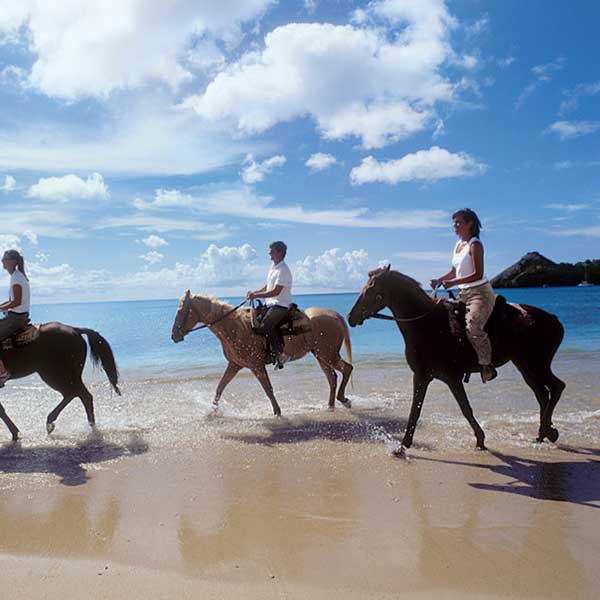 Phuket Horse Riding & Swim Laguna Beach |