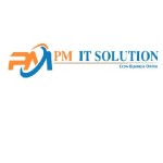 PM IT Solution profile picture