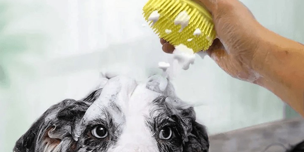 Top 5 Dog Bath Brushes and Using Tips for 2023