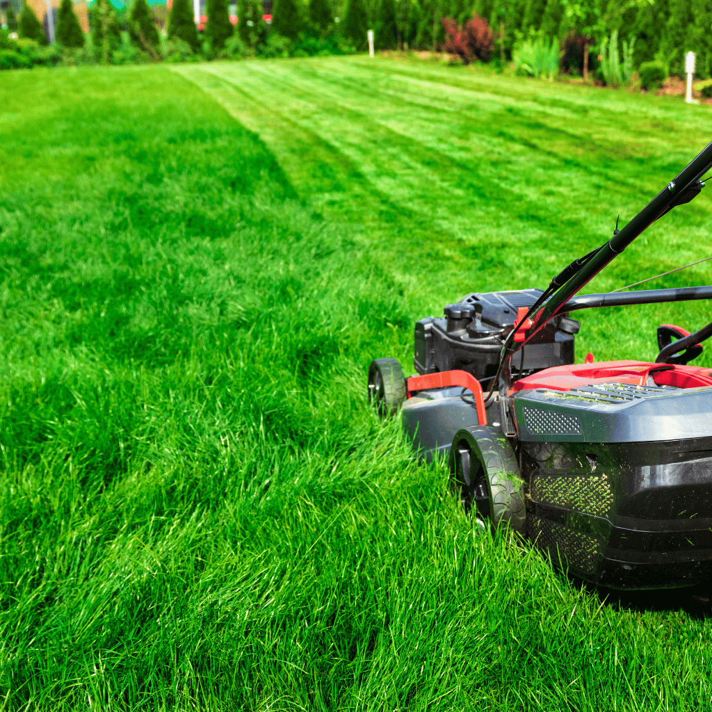 Lawn Care Montgomery County pa : Affordable Lawn Care Solution