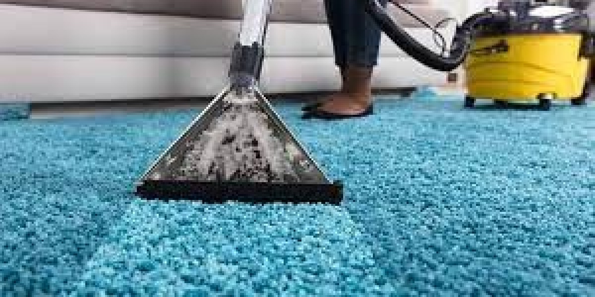 Elevate Your Space with the Best Carpet Cleaners in Sydney