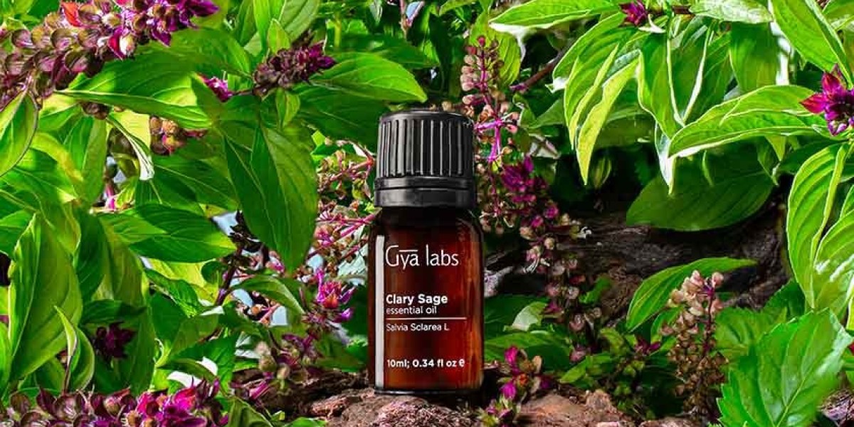 Exploring the Best Clary Sage Essential Oil: GyaLabs Clary Sage Oil