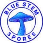 Bluestem Spores Profile Picture