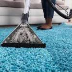 365 Carpet Cleaning Profile Picture