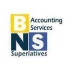 BNS Accounting Services Profile Picture