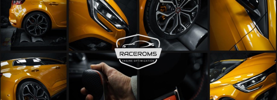 Raceroms Cover Image