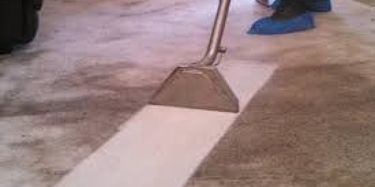 Get Your Carpets Looking Their Best with Professional Carpet Cleaning Services