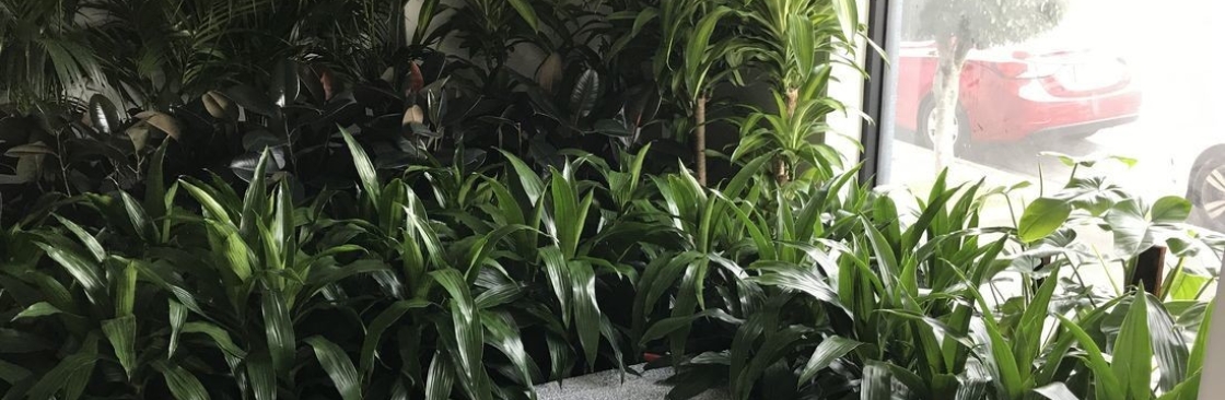 Luwasa Indoor Plant Hire Cover Image