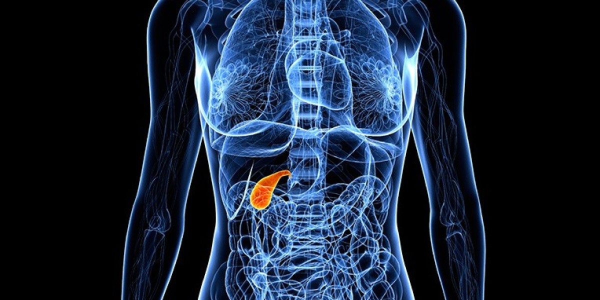 Understanding Gallbladder Cancer: Unveiling Symptoms, Diagnosis, And Treatment